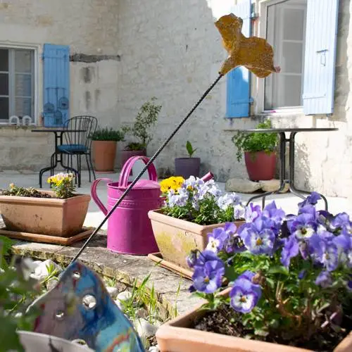 La cours | La Maison | Les Herbes Folles | Chambres d’hôtes de charme piscine Saintes Charente-Maritime